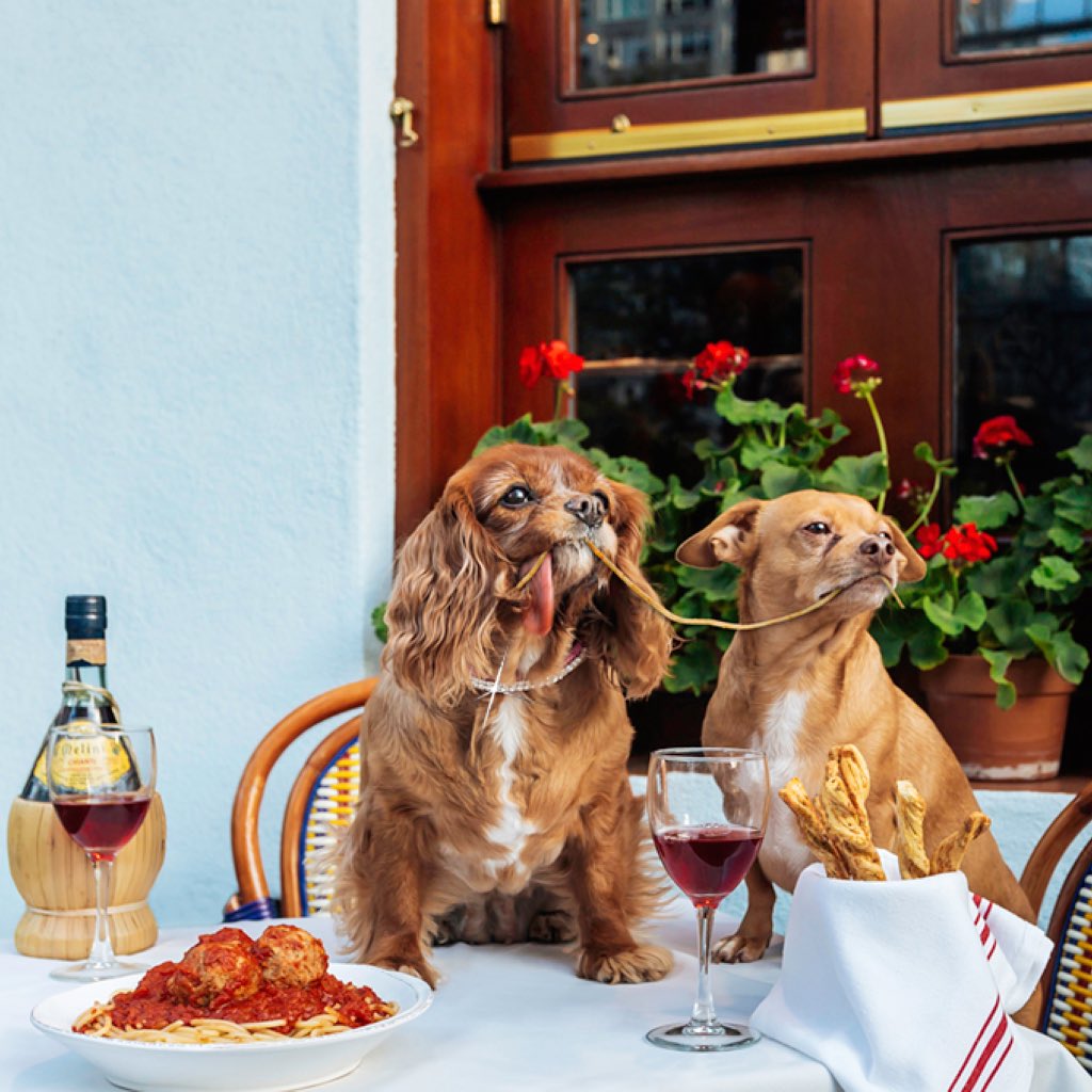 friendsofFINN's tweet image. Hello world, I'm engaged! #itsofficial 💍💍💍 check out our registry. @toastmeetstweet zola.com/registry/toast…