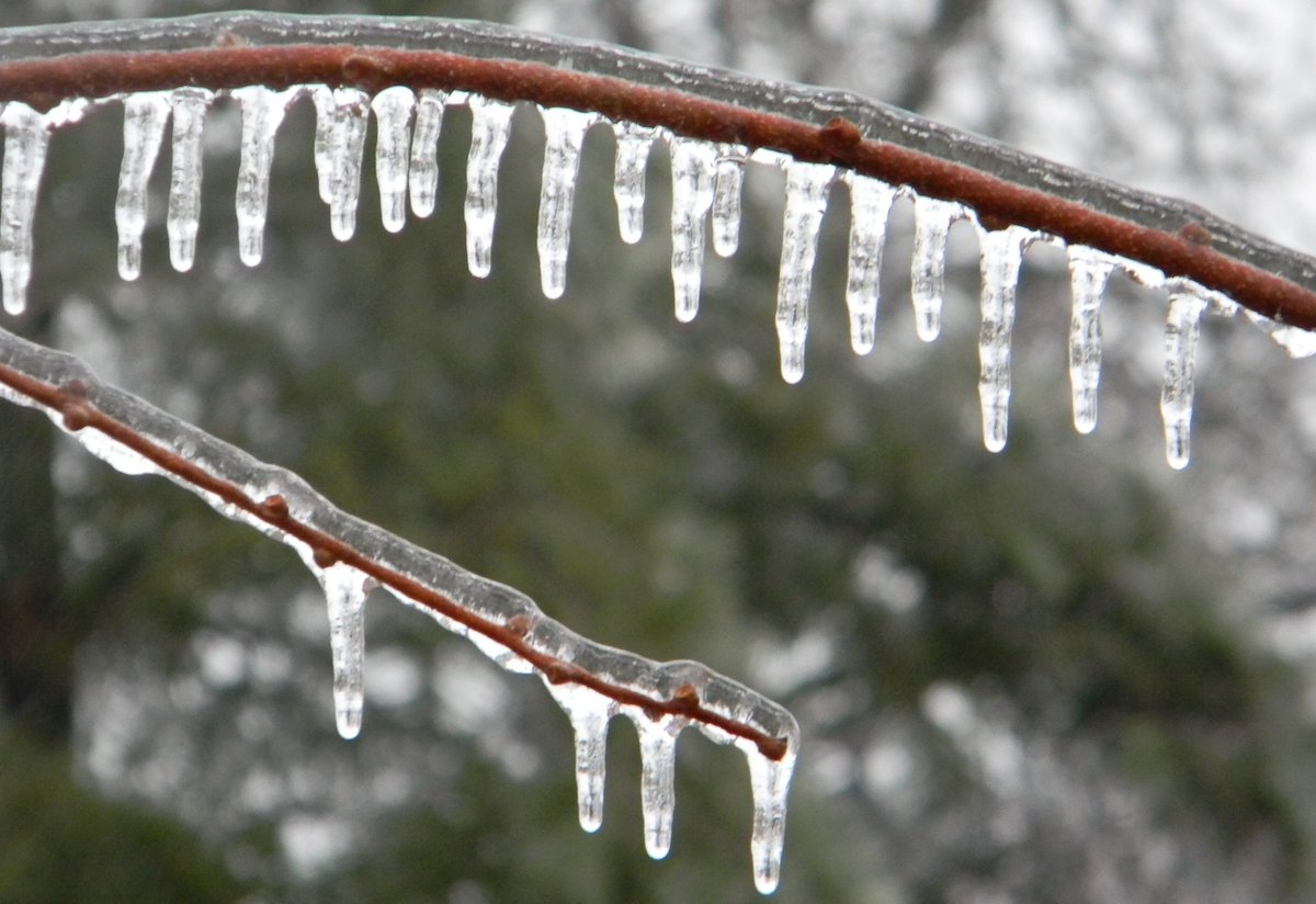 monsey_com's tweet image. Brr! Freezing Temperatures Expected Overnight.  monsey.com/brr-freezing-t…