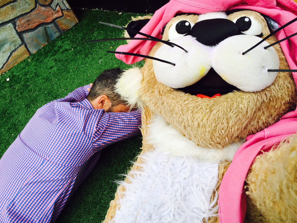 EhGatoCombate's tweet photo. El mejor plan después de una noche violenta 
Miau.- https://t.co/luVuJi7zd9