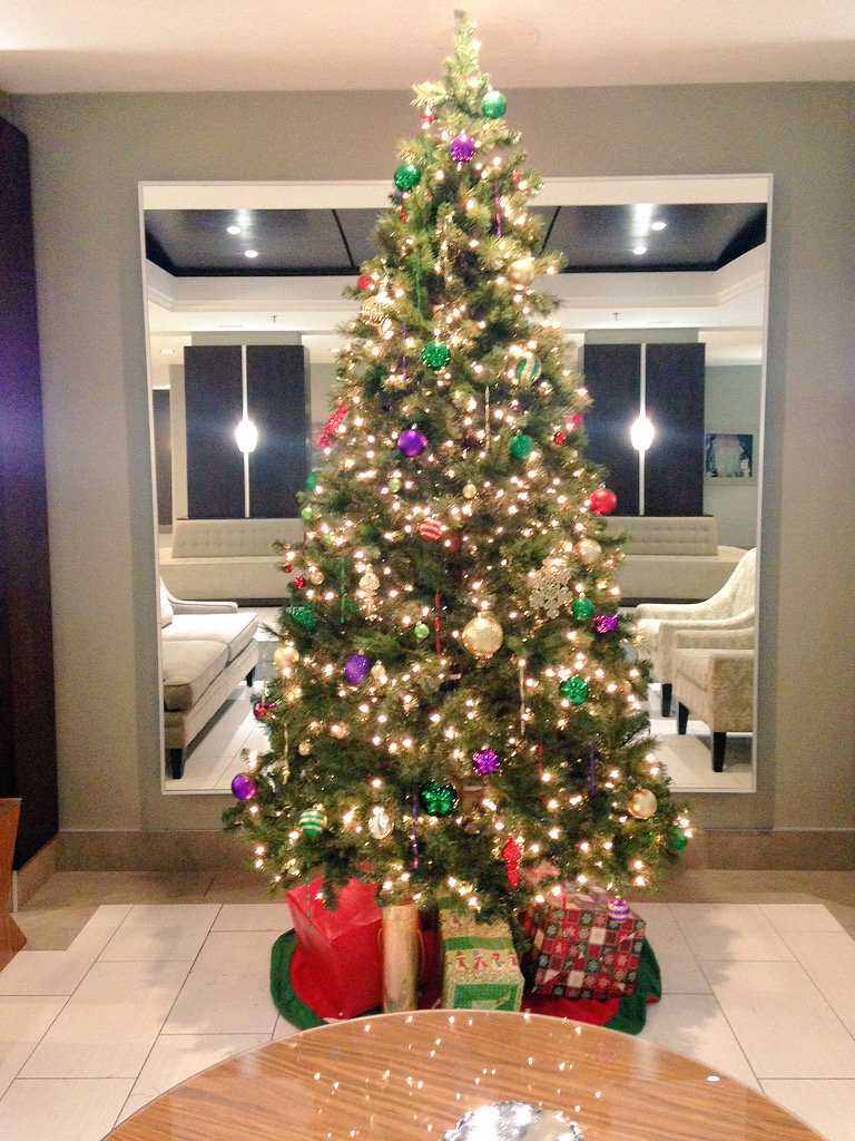 RadissonOttawa1's tweet photo. Our tree is up! :) #seasongreetings #holidayseason #HolidaysAreComing #Ottawa #christmastree #seasonofgiving https://t.co/7dVAfZYZ35