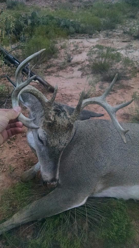 Yeah!!! My man just knocked this guy down on our tx lease! Meat in the freezer!