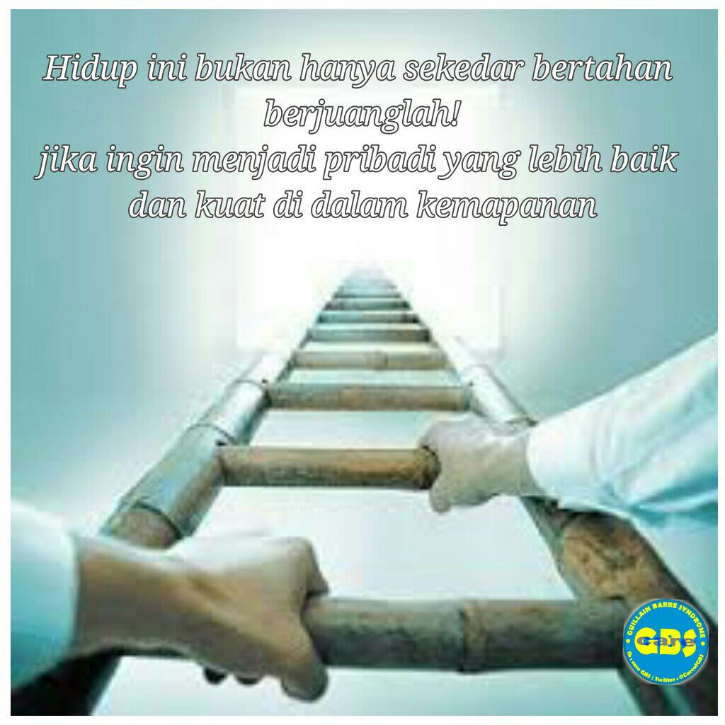 ogest74's tweet photo. @CAREOfGBS https://t.co/JUGmvU75t7