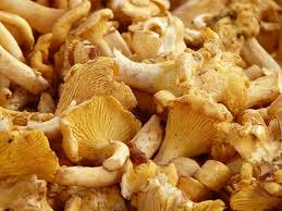 AdHopBrewing's tweet image. Looking forward to tomorrow's collab with Kubla @Kublabrewery! Epic brew. We will even chuck in some chanterelles!