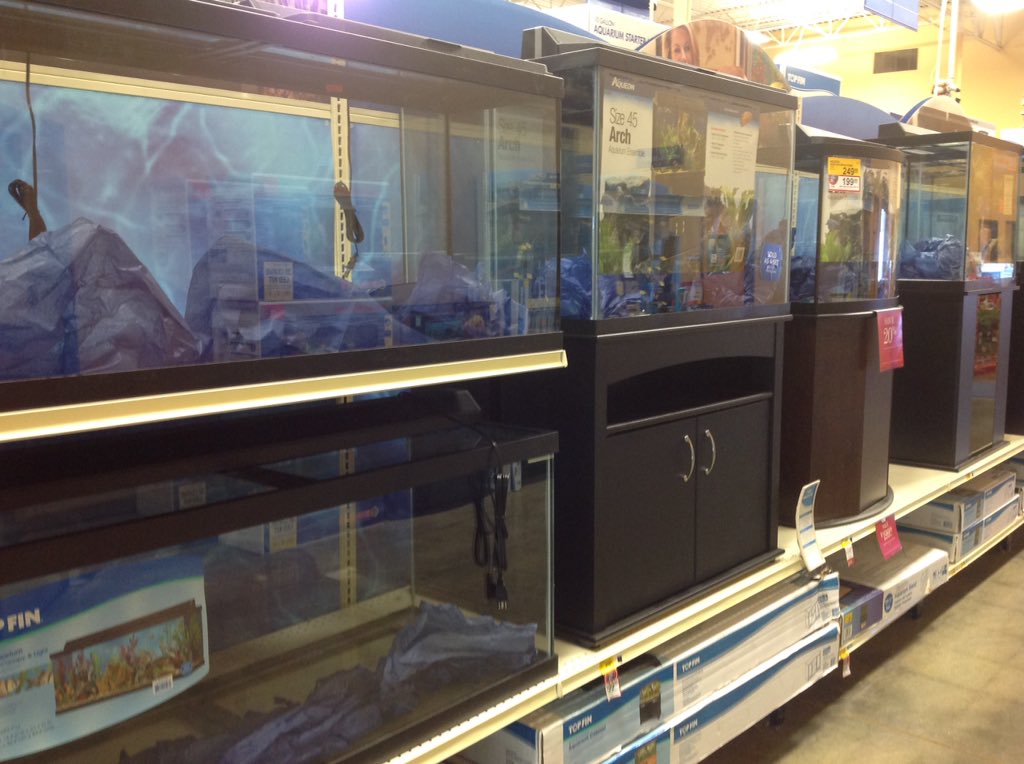CraigZ_petm's tweet photo. Manny and the Team @ 1018 say they are ready #bulkitout #epblackfriday #LouisianaPetm ๐๐ฅ๐๐ https://t.co/P219l3fecn