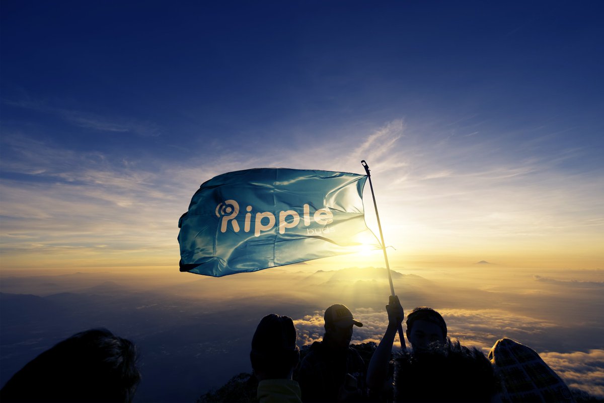 RippleBuds tweet media