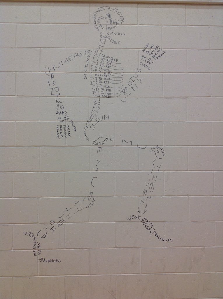 SMS_ADM's tweet image. PE Department &quot;in action&quot;