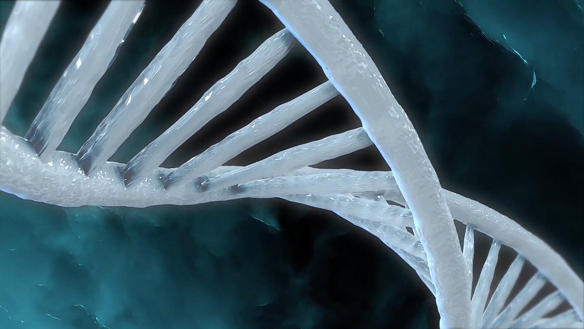 CreativeDojo's tweet photo. NEW TUTORIAL | DNA Strands with Trapcode Tao by @Timberhay on the Dojo: https://t.co/CKImoI3PfB
@trapcode_lab https://t.co/W0keXnA9oR