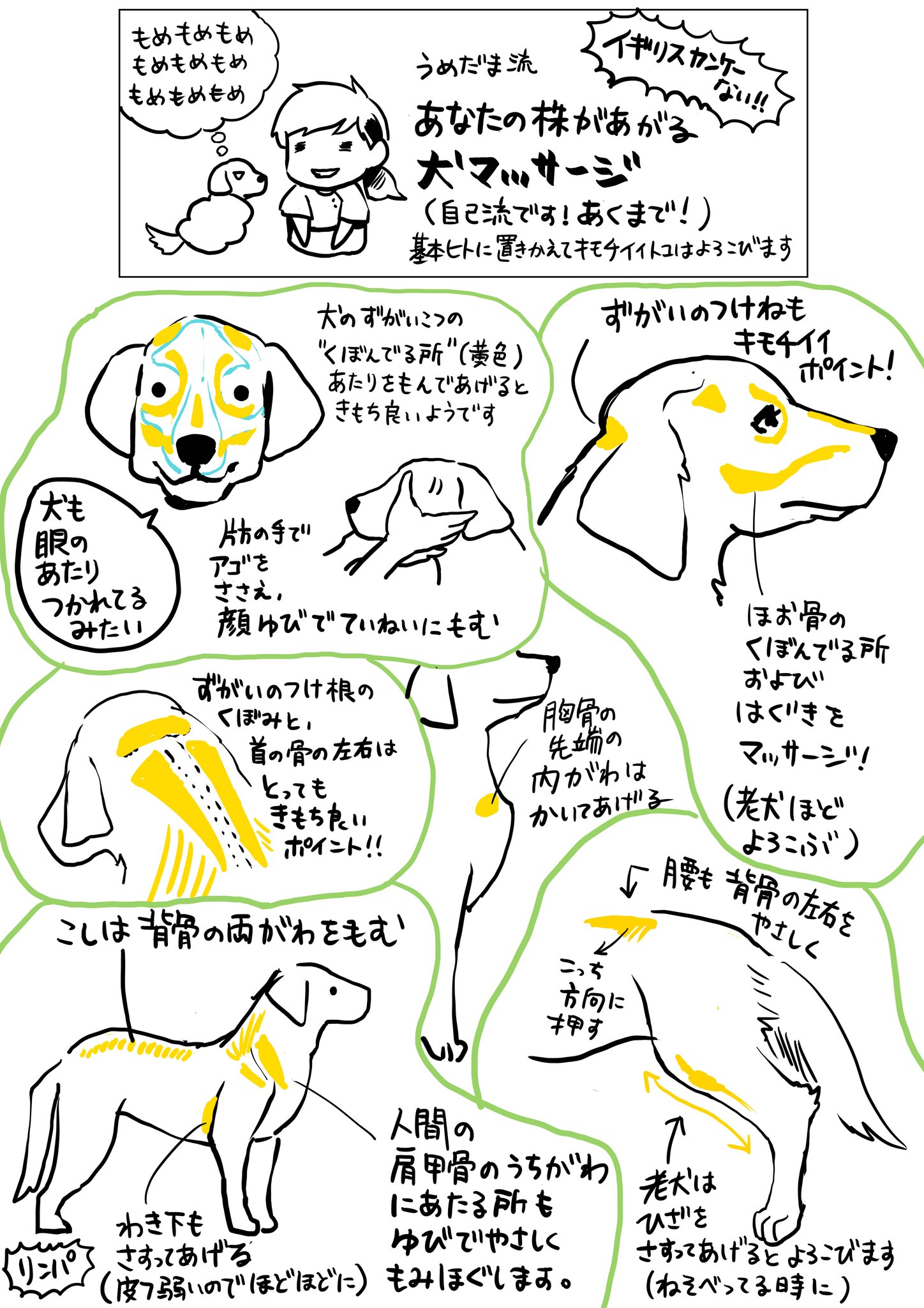Marikoumeda うめだま V Twitter 犬 マッサージを図解せよとの指令が下ったので 自己流ですがココをもむと喜ぶ箇所を挙げてみました 基本 人間のマッサージで 自分がやられたら気持ちいい なー という所をやってあげると喜ぶと思います 愛 それが全て
