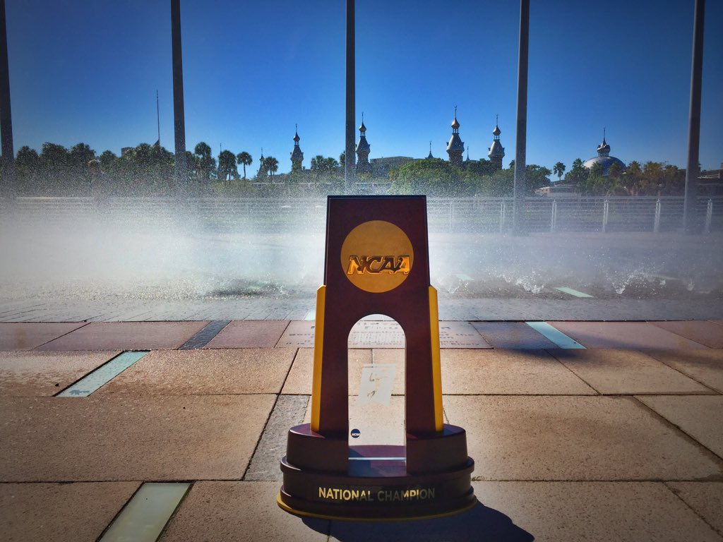 SportsTampaBay's tweet photo. The road to #TampaBay has started w/ the unveiling of the 2015 @NCAADII VB Tourney bracket! https://t.co/9VrqZ1dusK https://t.co/dx1ZwPxaHx