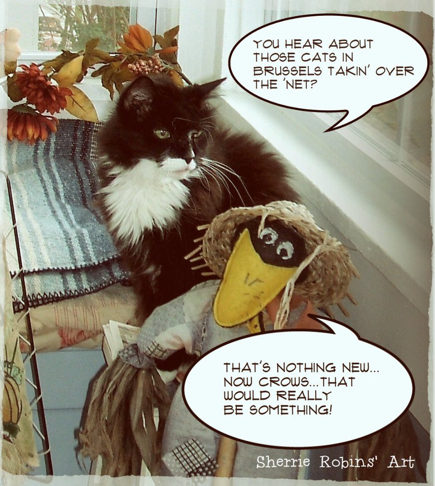 Tweaterpated's tweet photo. Love those #Brusselscats #catsofbrussels #CatsRule Your feline friends stand with you... #CatsofNiagara https://t.co/zK2kJQ7zOI