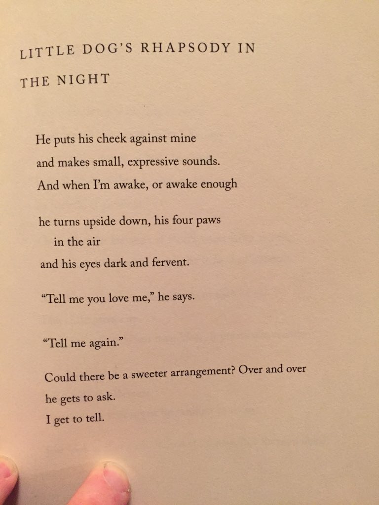 flottman's tweet photo. @hoganhere @NekoCase have you 2 picked up Mary Oliver's book of poetry that is all about her dogs? This right here.. https://t.co/2XVsozcb7s