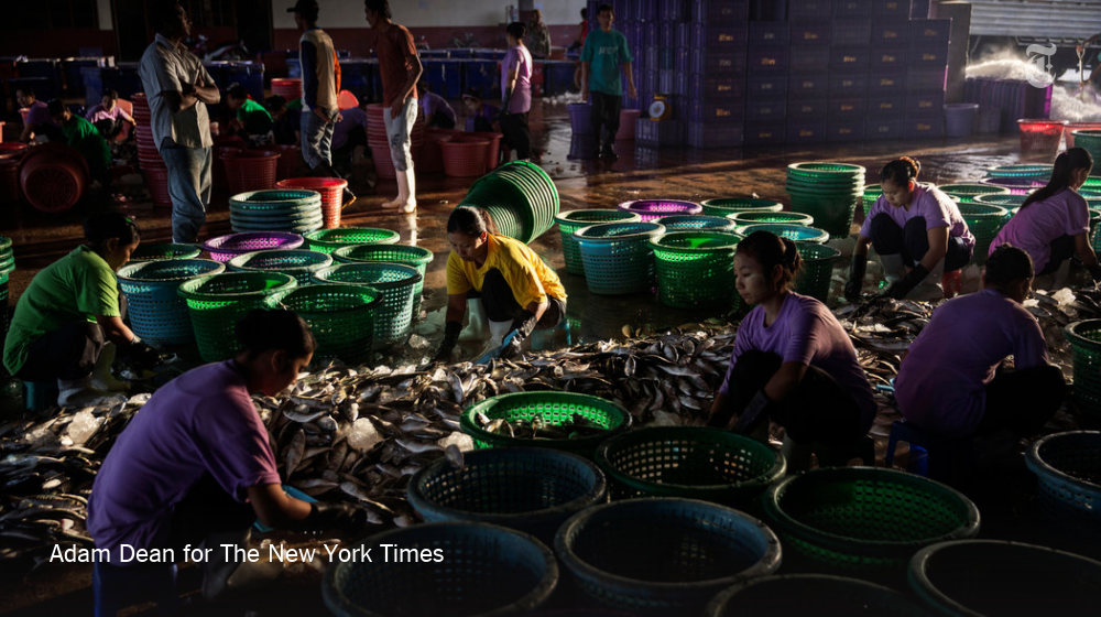nytimes's tweet photo. Nestlé reports on abuses in Thailand’s seafood industry https://t.co/ZQzdy2N7i8 https://t.co/E00uyHStPV