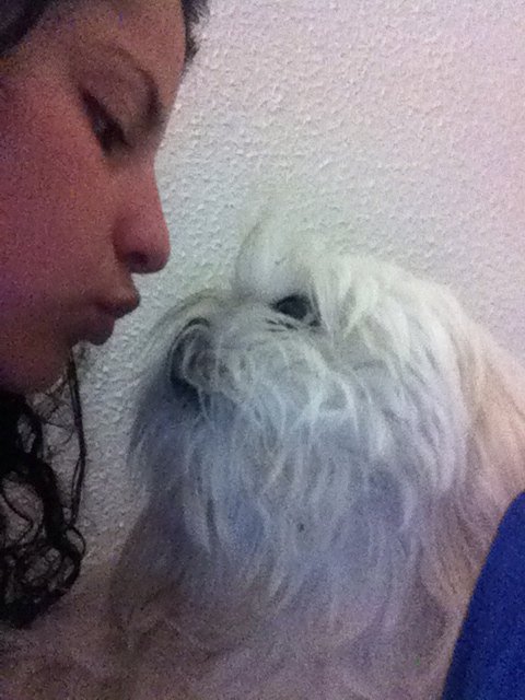 melu_rios's tweet photo. El amor mas sincero que he podido encontrar #truelove https://t.co/HIhg6xuikR
