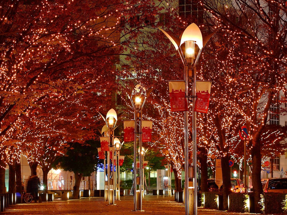 freephotoz's tweet photo. Christmas Night View Desktop Wallpaper 1600x1200
#MerryChristmas https://t.co/sj2DOjiN0a