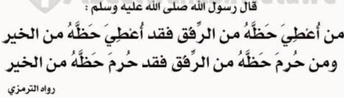 Mimo_Sidra's tweet photo. #معذب_الحمار 
#الاحسان #الإنسانية #الرفق 
#كن_صوت_من_لاصوت_له https://t.co/UPgXynyDC4
