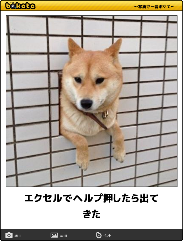 助さん格さん ディスっておやりなさい 今日の ボケて 11月29日 Togetter