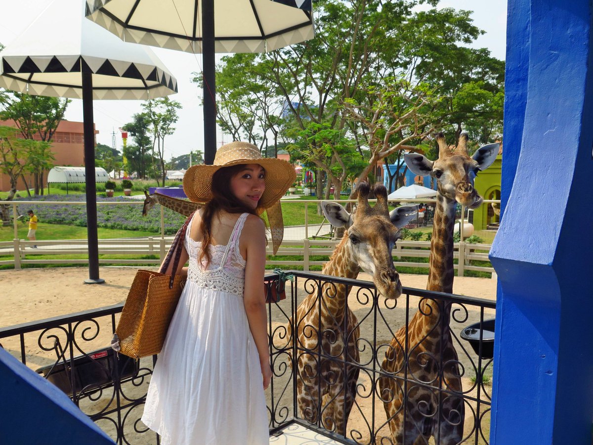 MekwattanaChris's tweet photo. 🌟CHA AM &amp; HUAHIN'S BLOG🌟
https://t.co/Xtuoecgy3f
#chaam #huahin #WordPress #beach #camelrepublic #travelblog https://t.co/MGCcJvbcOT