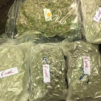 SOTTeapot's tweet image. #TeaFail :2,3 millions d’euros de cannabis découverts lors d’un vol de thé overtheteapot.wordpress.com/2015/11/24/tea…