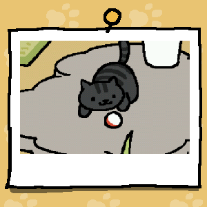 bexluthorx's tweet photo. #ねこあつめ important https://t.co/W7L8Xdz00G