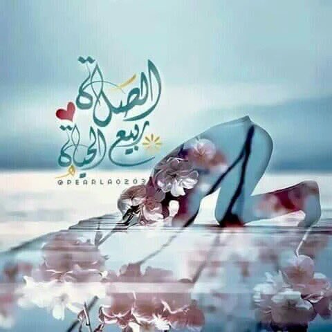 cobanyatak's tweet photo. En faziletli zikir,
'La ilahe illallah'dır.

(Allah cc kabul etsin) https://t.co/ZzcKJD3hWq