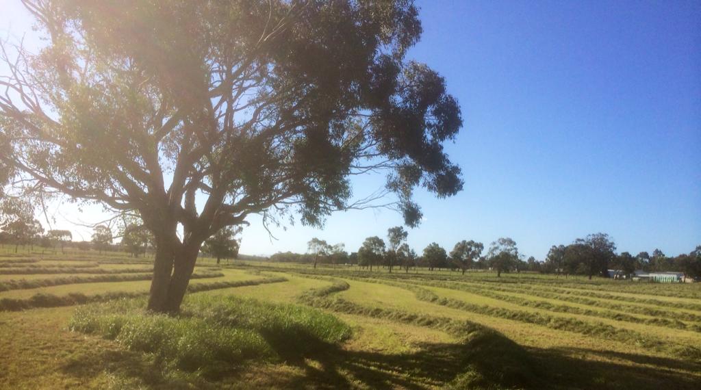 cupslinga's tweet photo. #hay15 https://t.co/ivGQyLtXh8