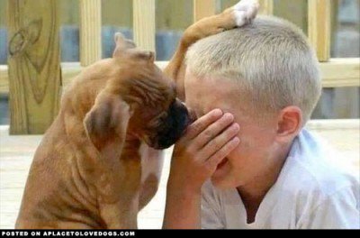 PerroContento's tweet image. Estudio comprueba #perros sienten el dolor humano y tratan de consolarnos &amp;gt;&amp;gt; buff.ly/1X7bvFX