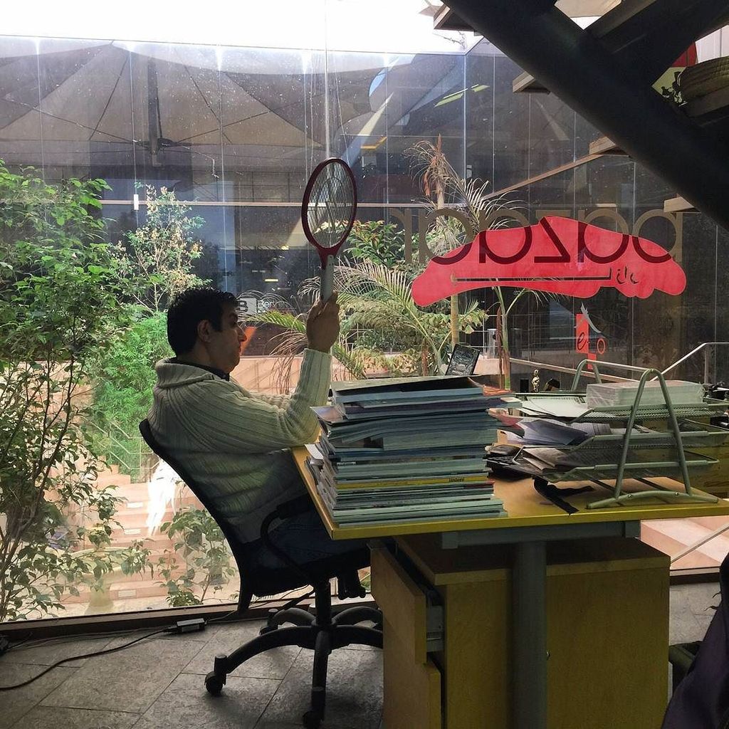 bazaartweets's tweet image. Closing content despite all odds...or flies. #editorsatwork #editorsswattingflies #bazaarmagazine #bazaarkuwait