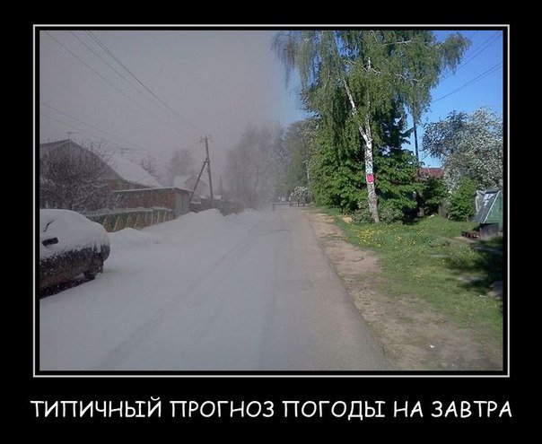 Оконешников Владимир (@okoneshnikovvl) on Twitter photo 