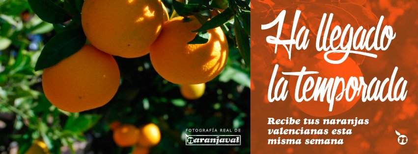 ¡Hoy es buen día para comprar buenas #NaranjasValencianas y recibirlas mañana! Naranjaval.com #FelizMartes