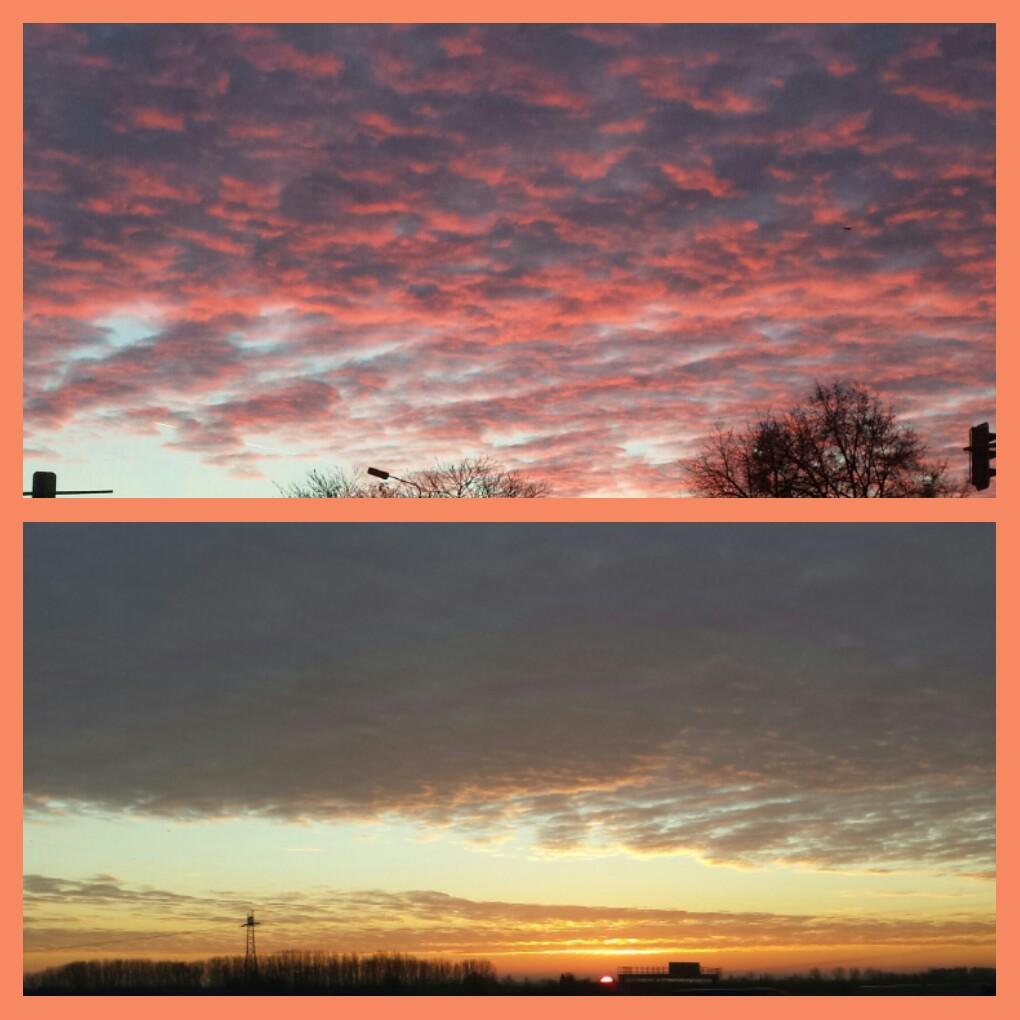 little moon tweet media