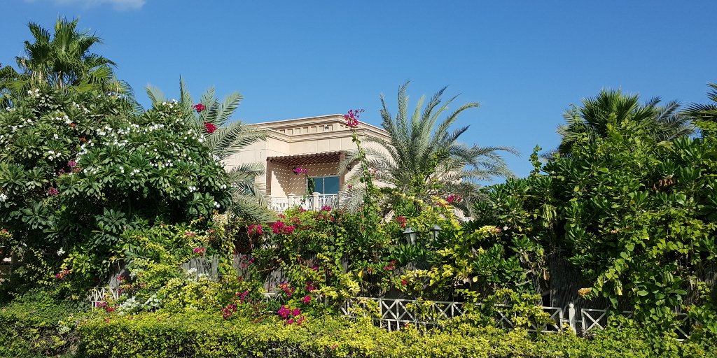 This romantic Villa is located in #TheMeadows but you find such jewels everywhere in #EmiratesLiving #Dubai #UAE
