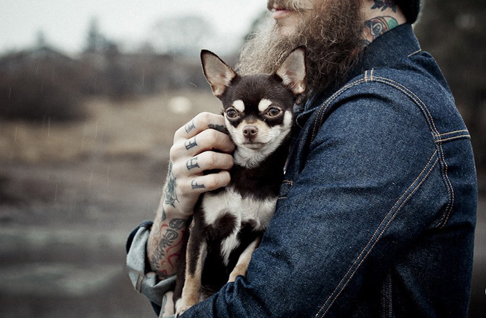 Er du en som bryr deg om særpreg men samtidig ønsker å beskytte deg mot naturkrefter? buff.ly/1P8Ku0a