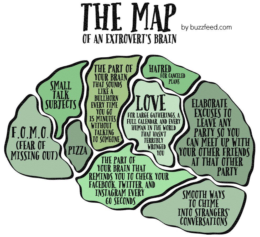 cynthiafogoe's tweet image. The #Map of an #Extrovert&apos;s #Brain