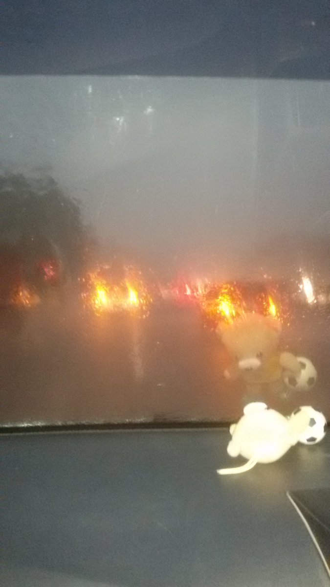 Jagorawi arah bogor hujan lebat sangat...ht2 sadayana mugi slmt smp tujuan.