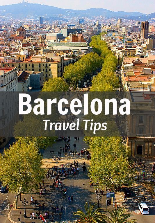 DigitouristEU's tweet photo. All the things to do in barcelona! https://t.co/rBpaQNDEU8

#Barcelona #spain https://t.co/HlnoI8pRZ9