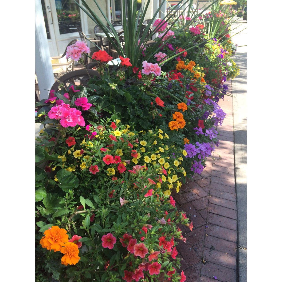 tagstr's tweet photo. Good morning Tuesday💐Thanks to official taggr &amp; #blogger @mbaynham_ for sharing the prettiness on #Tagstr!🌺 #flowers https://t.co/DKBNBprEEa