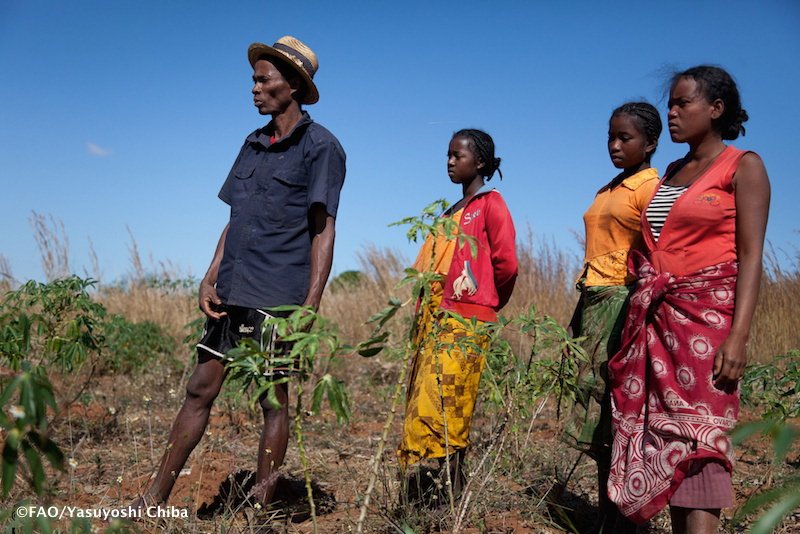 FAOKnowledge's tweet photo. #Familyfarms produce abt 80% of world's food. Investing in future of their farms https://t.co/akR1lG6E3i #faodoc https://t.co/jK7pREcE1g