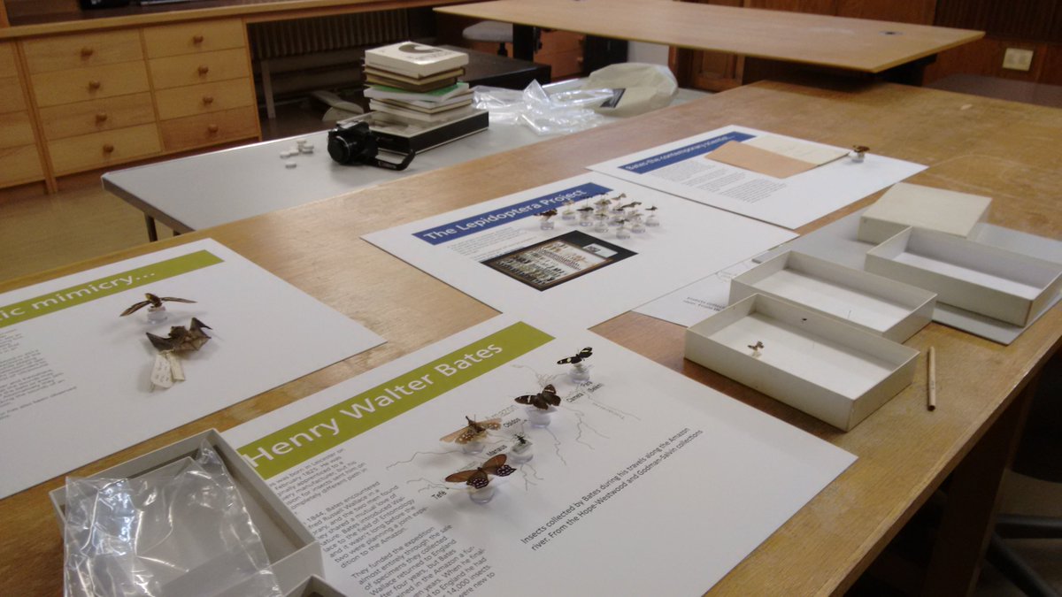 A small display on the work of Henry Walter Bates goes out tomorrow in the gallery.