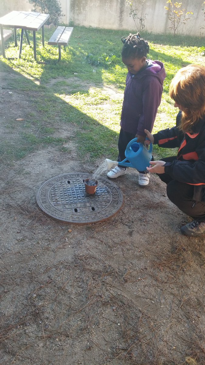 Lolamento84's tweet photo. Aprendiendo del otoño #plantamosnuestrascastañasybellota @nscarmenmo https://t.co/HCURJsa4BP