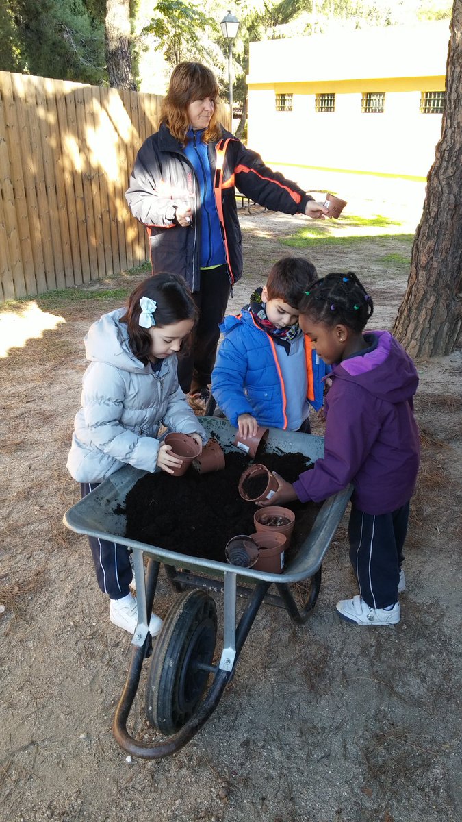 Lolamento84's tweet photo. Aprendiendo del otoño #plantamosnuestrascastañasybellota @nscarmenmo https://t.co/HCURJsa4BP