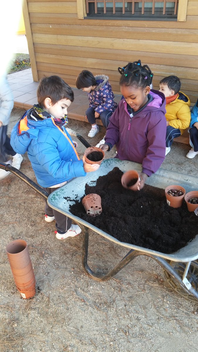 Lolamento84's tweet photo. Aprendiendo del otoño #plantamosnuestrascastañasybellota @nscarmenmo https://t.co/HCURJsa4BP