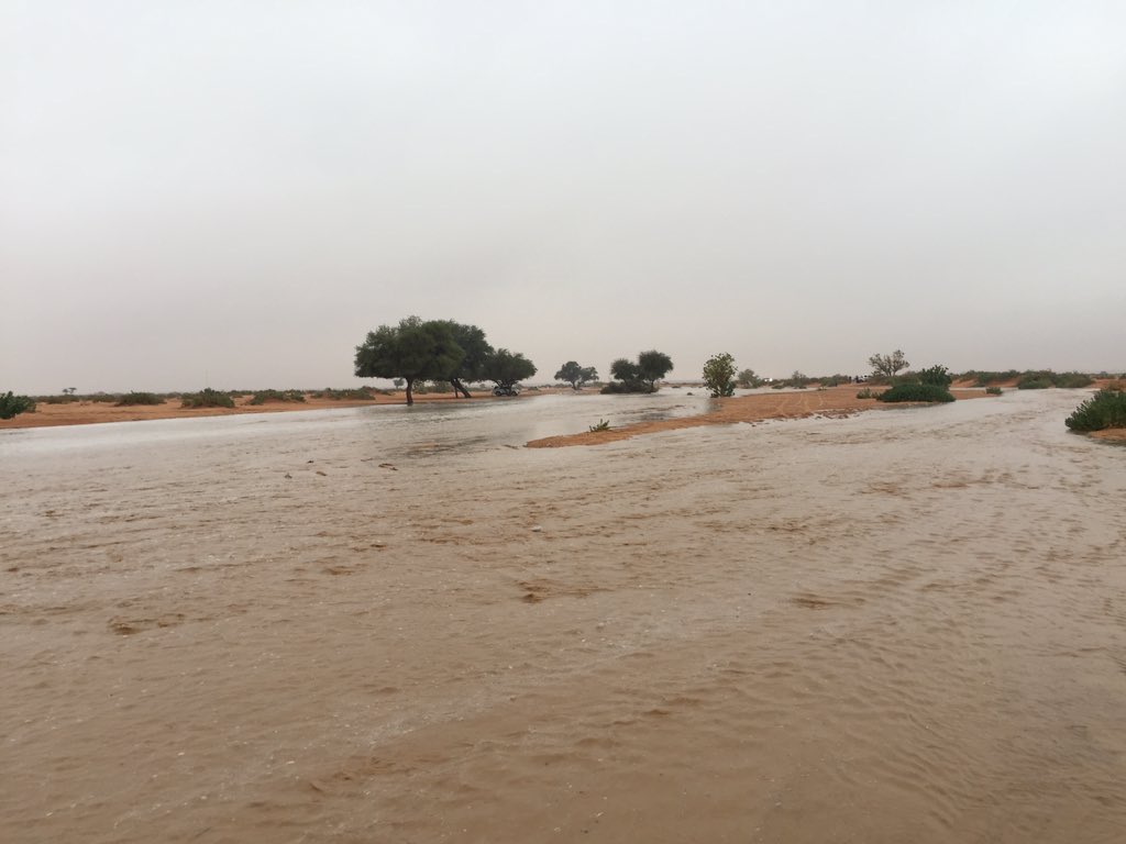 tumair2005's tweet photo. شعيب الارطاوي شمال تمير 35كم https://t.co/cgjnm6cy93