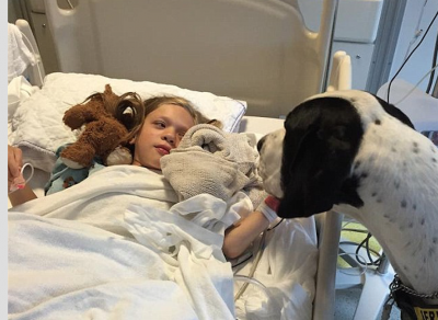 PerroContento's tweet image. #Perro logra niña invalida camine y gana premio del perro del año &amp;gt;&amp;gt; buff.ly/1HgIpNr