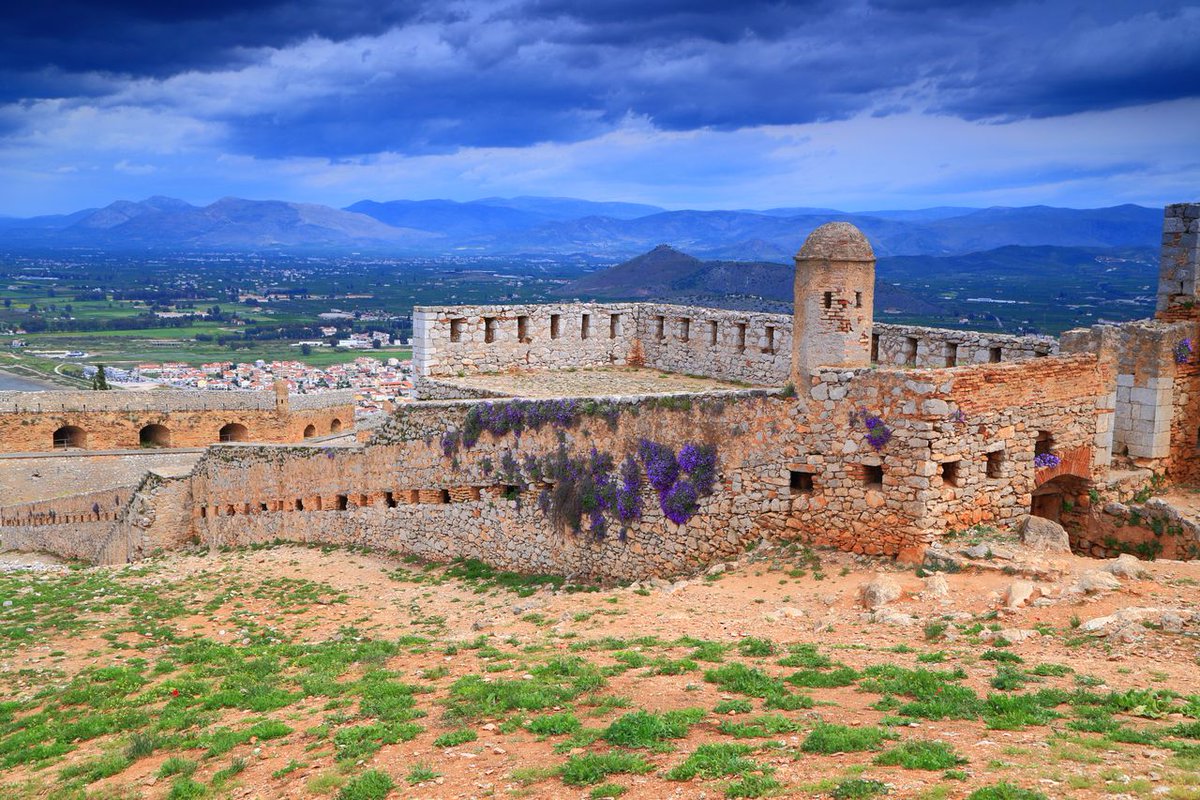 Terrabook tweet media