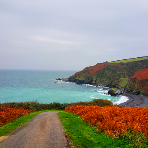 CornishSea_Salt's tweet photo. We received this vibrant #seasnap today, it's right next door to our salt house #Atlanticocean #saltygoodness https://t.co/QAYGmursCJ