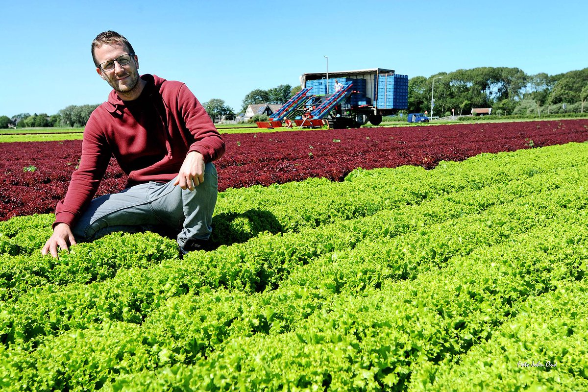 Zorg jij samen met <a href="/B4Agro/">B-four AGRO</a> voor meer zonnestroom? Perfecte plek met zonnig rendement zonnepanelendelen.nl/project/b4agro Doe mee