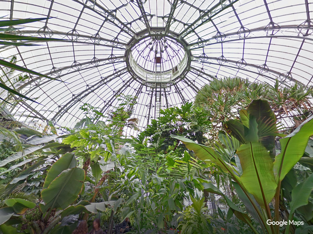 Embedded image permalink