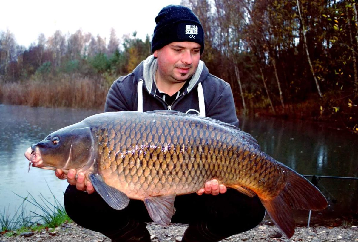 BFlamaing's tweet photo. First winter fish! Love it! #Dreambaits #Gills&amp;Scales https://t.co/jbAAfV3NHJ