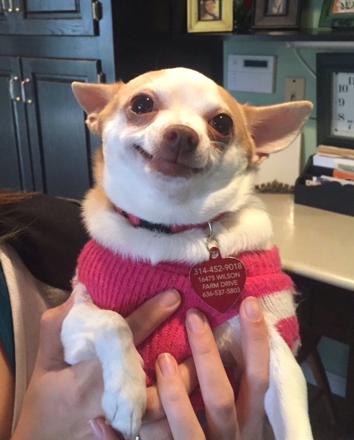 Cuando estáis tu amigo y tú y llega un amigo de tu amigo que no es tu amigo pero te cae de puta madre.