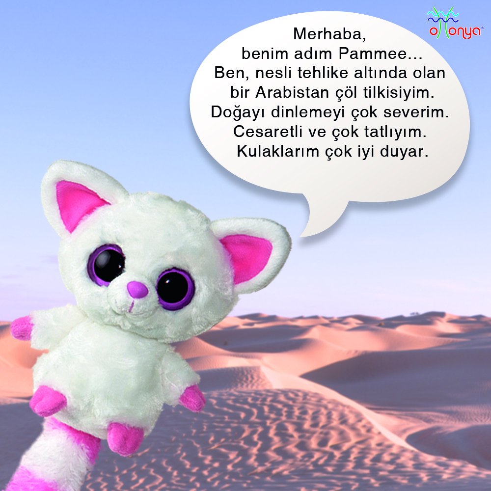 OttonyaOfficial's tweet photo. #Yootopia ailesinin sevimli üyesi #Pammee ile tanıştınız mı?
#YooHooveArkadaşları #Ottonya https://t.co/bPSYmVZprz